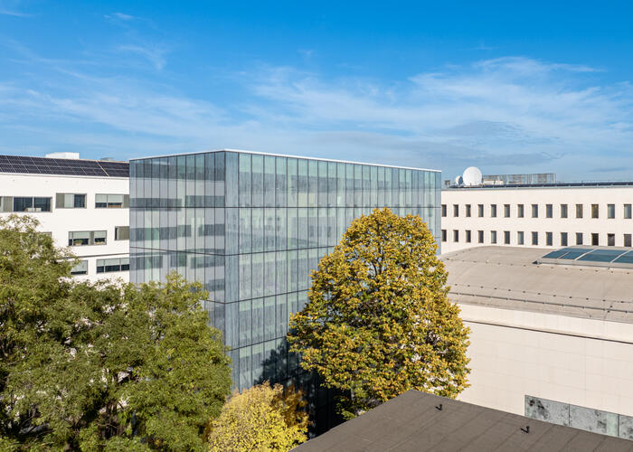 Liget Center Vitrum